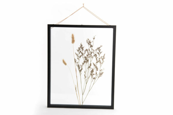 QUADRO