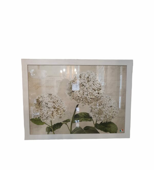 QUADRO ORTENSIE BIANCO
